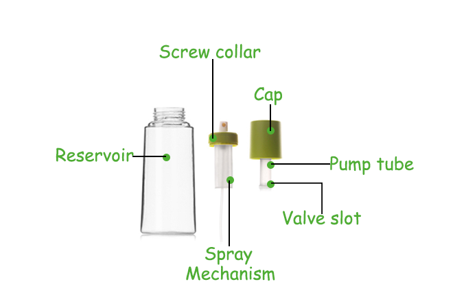 Anatomy of a oil spray bottle