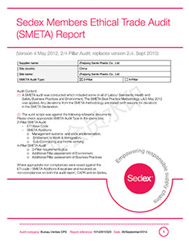 Sedex SMETA Report