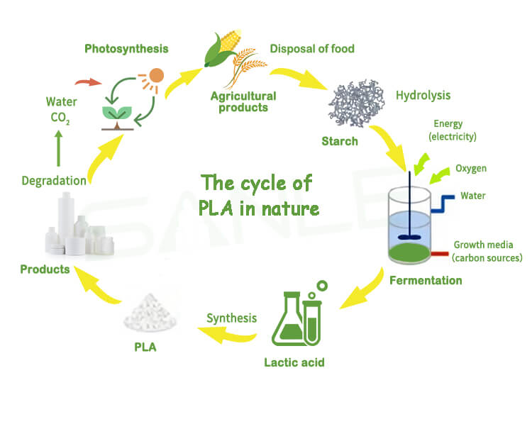 How Pla 100% biodegradable material recycled in nature
